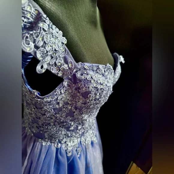 Rianna Couture Damas Dress - Picture 5 of 13